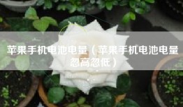 苹果手机电池电量（苹果手机电池电量忽高忽低）