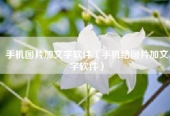 手机图片加文字软件（手机给图片加文字软件）
