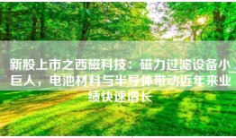 新股上市之西磁科技：磁力过滤设备小巨人，电池材料与半导体带动近年来业绩快速增长