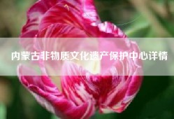 内蒙古非物质文化遗产保护中心详情