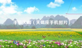 手机天蝎（天蝎座手机图片）