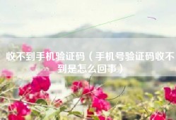 收不到手机验证码（手机号验证码收不到是怎么回事）