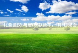比亚迪汉L与唐L双款新车，4月9日见面