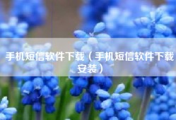 手机短信软件下载（手机短信软件下载安装）