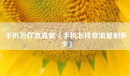 手机怎样查流量（手机怎样查流量剩多少）