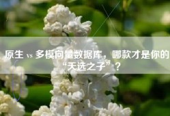 原生 vs 多模向量数据库，哪款才是你的“天选之子”？