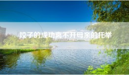 饺子的成功离不开母亲的托举