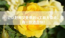 2024公认好用又免费的AI工具大盘点，总有一款适合你！