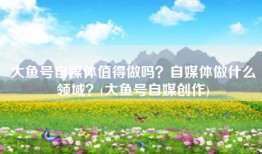 大鱼号自媒体值得做吗？自媒体做什么领域？(大鱼号自媒创作)