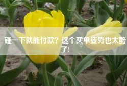 碰一下就能付款？这个买单姿势也太酷了!