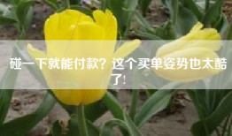 碰一下就能付款？这个买单姿势也太酷了!