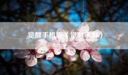 觉醒手机版（觉醒手游）