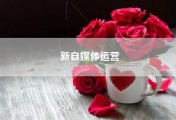 新自媒体运营