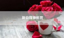 新自媒体运营