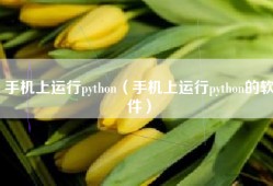 手机上运行python（手机上运行python的软件）