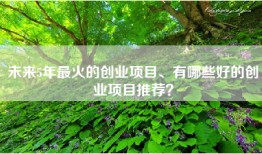 未来5年最火的创业项目、有哪些好的创业项目推荐？