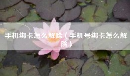 手机绑卡怎么解除（手机号绑卡怎么解除）