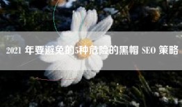 2021 年要避免的5种危险的黑帽 SEO 策略
