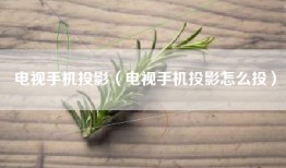 电视手机投影（电视手机投影怎么投）