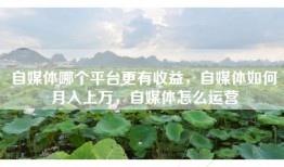 自媒体哪个平台更有收益，自媒体如何月入上万，自媒体怎么运营