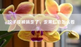 饺子皮被搞歪了，歪果仁会怎么看
