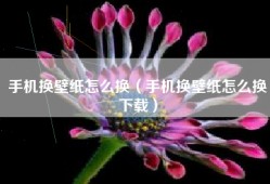 手机换壁纸怎么换（手机换壁纸怎么换下载）