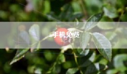 a手机免费