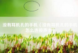 没有耳机孔的手机（没有耳机孔的手机怎么连接声卡）