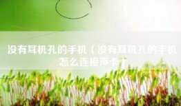 没有耳机孔的手机（没有耳机孔的手机怎么连接声卡）