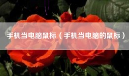 手机当电脑鼠标（手机当电脑的鼠标）