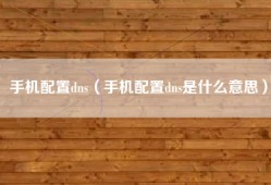 手机配置dns（手机配置dns是什么意思）