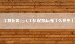 手机配置dns（手机配置dns是什么意思）