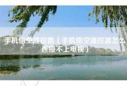 手机悟空遥控器（手机悟空遥控器怎么连接不上电视）
