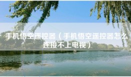 手机悟空遥控器（手机悟空遥控器怎么连接不上电视）