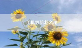 手机导航怎么用