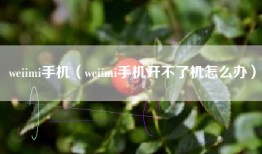 weiimi手机（weiimi手机开不了机怎么办）
