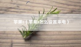 苹果8（苹果8怎么设置来电）