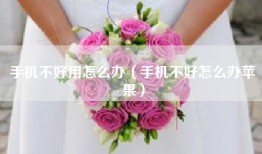 手机不好用怎么办（手机不好怎么办苹果）