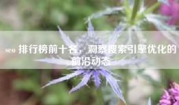 seo 排行榜前十名，洞察搜索引擎优化的前沿动态