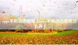 oppo手机动态壁纸（oppo手机动态壁纸怎么弄）