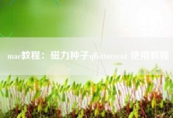 mac教程：磁力种子qBittorrent 使用教程