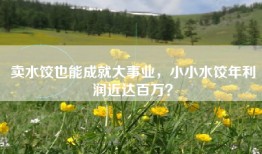 卖水饺也能成就大事业，小小水饺年利润近达百万？