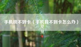 手机找不到卡（手机找不到卡怎么办）