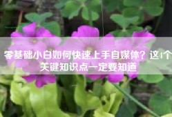 零基础小白如何快速上手自媒体？这4个关键知识点一定要知道
