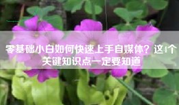 零基础小白如何快速上手自媒体？这4个关键知识点一定要知道