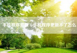 手机程序更新（手机程序更新不了怎么办）
