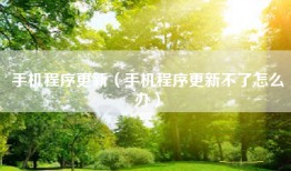 手机程序更新（手机程序更新不了怎么办）