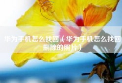 华为手机怎么找回（华为手机怎么找回删除的照片）