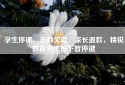 学生停课、老师欠薪、家长退款，精锐教育匆忙按下暂停键