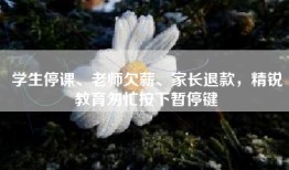 学生停课、老师欠薪、家长退款，精锐教育匆忙按下暂停键